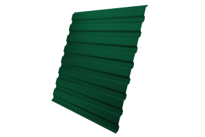 Лист профилированный С20A 0,45 PE RAL 6005